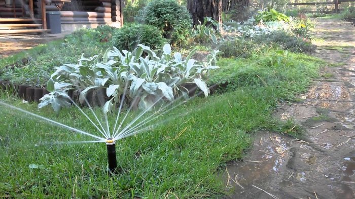 Какая система автополива самая лучшая